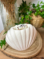 Brûle-parfum | Coquillage 🐚