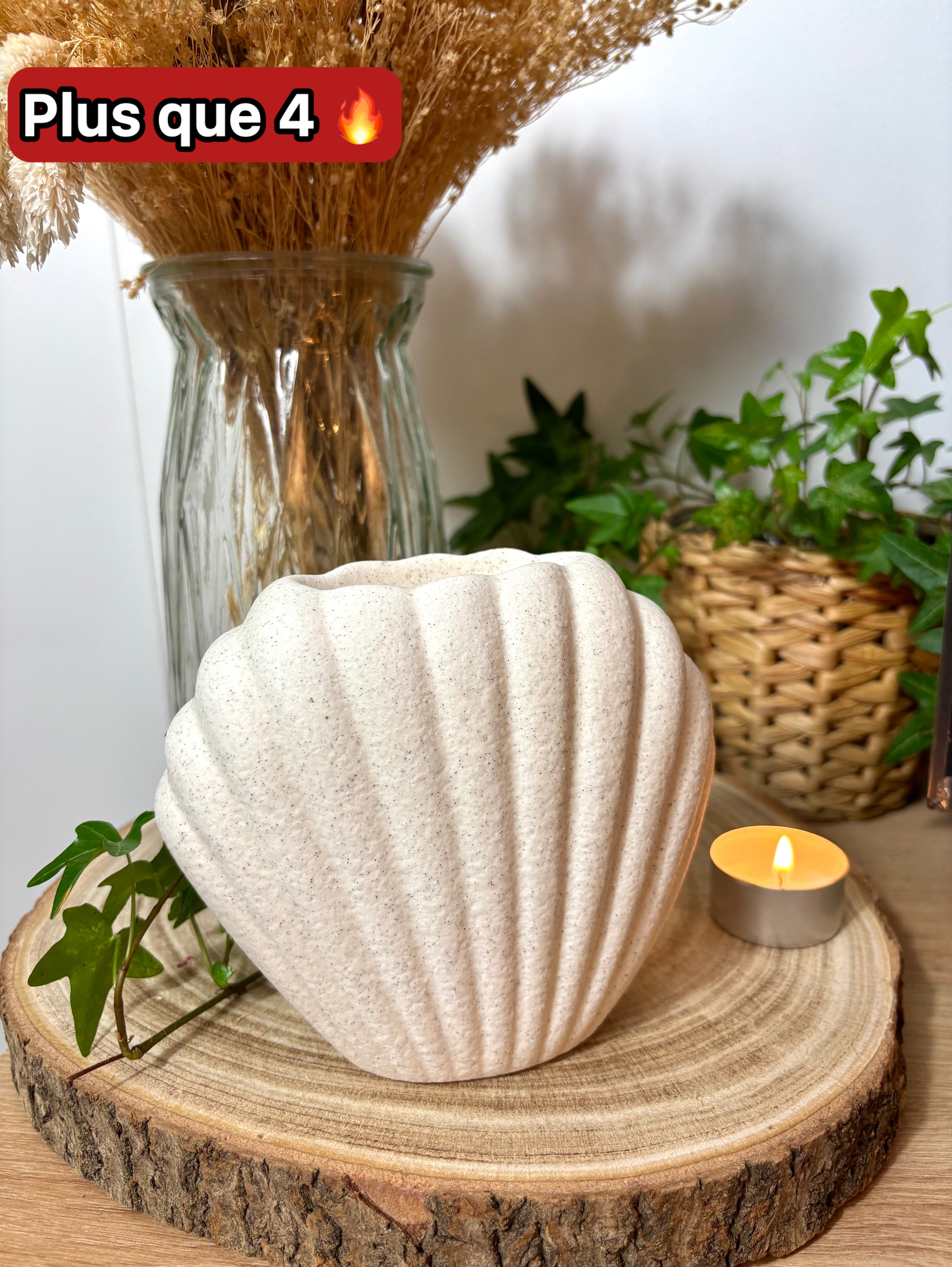 Brûle-parfum | Coquillage 🐚