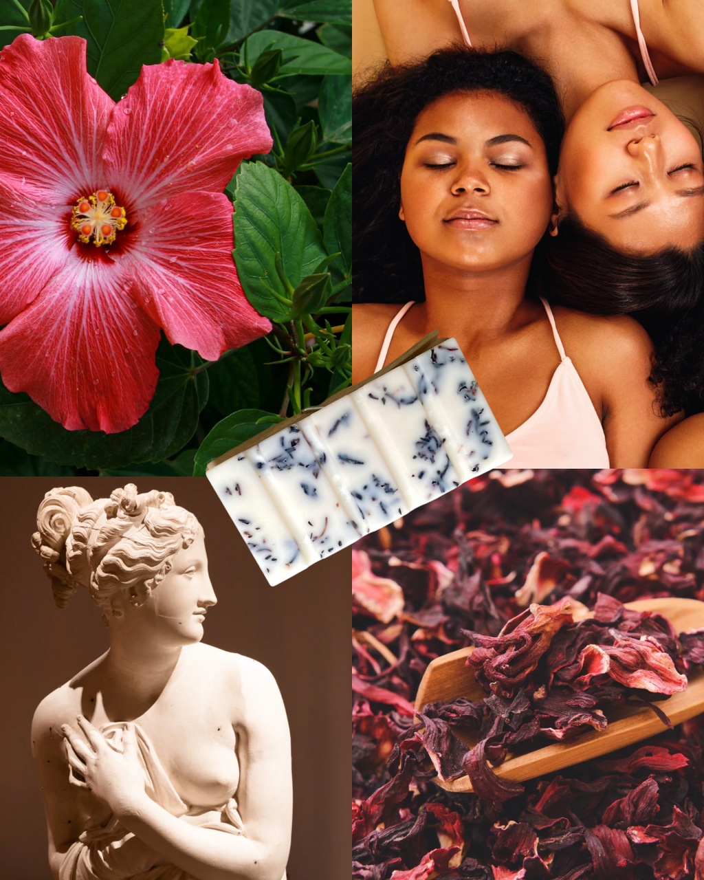 Tablette parfumée "Aphrodite" | Hibiscus 🌺