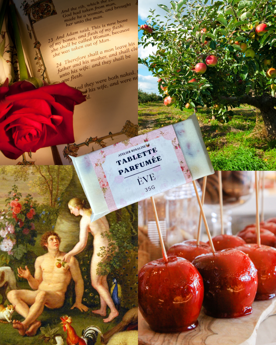 Tablette parfumée "Eve" | Pomme d'amour❤️